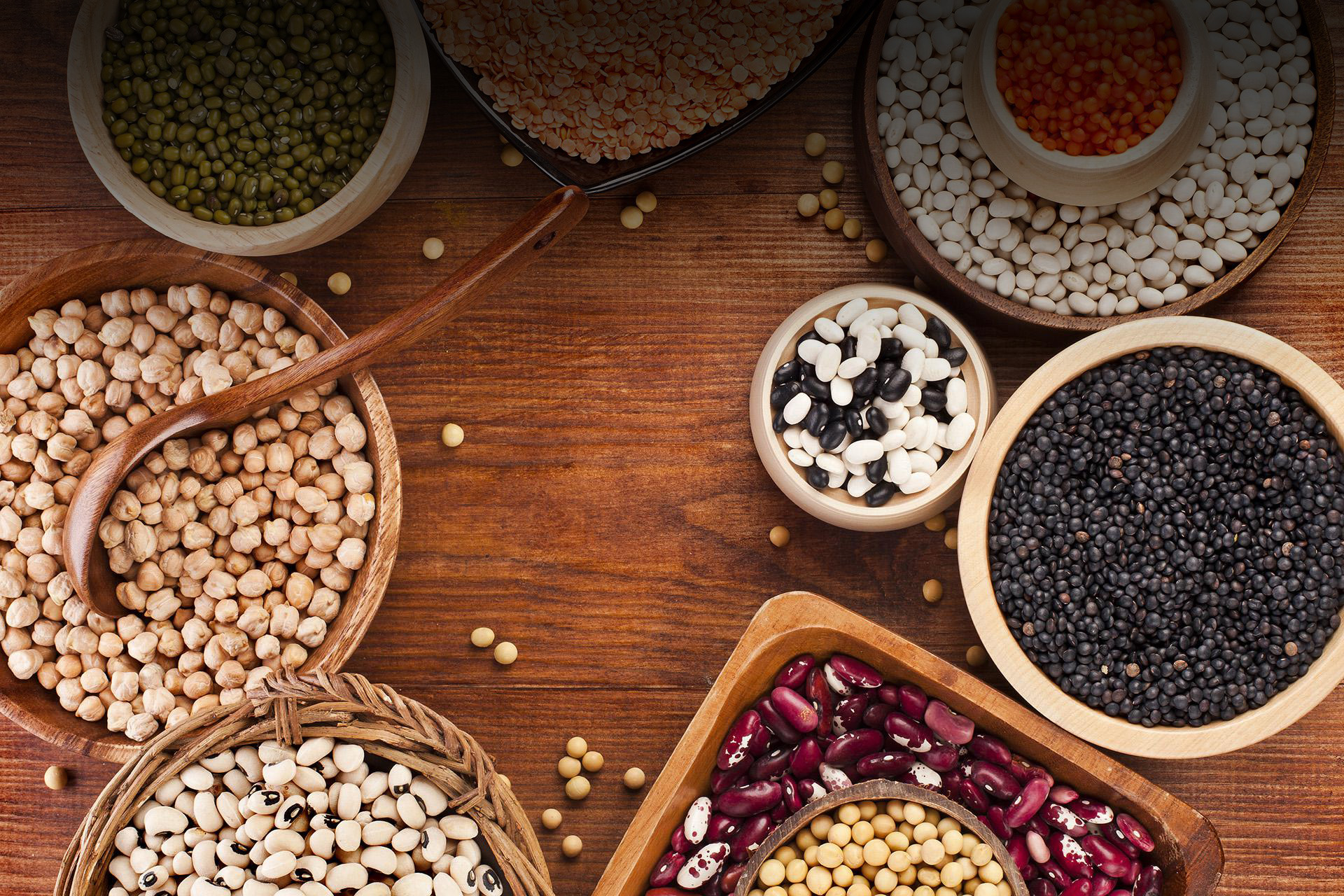 Ecoder Organic Commodities