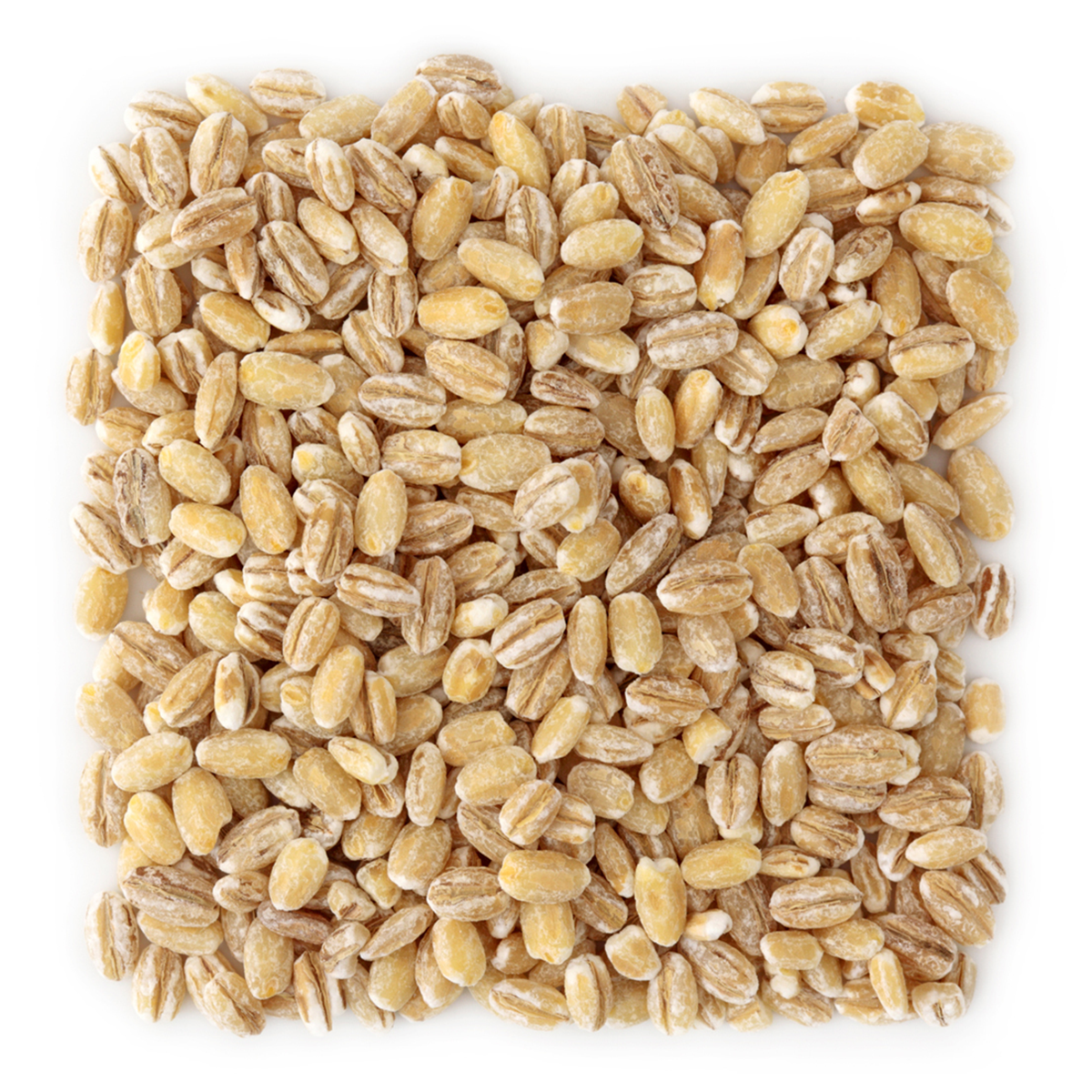 Organic Grains / Ecoder Organic Commodities