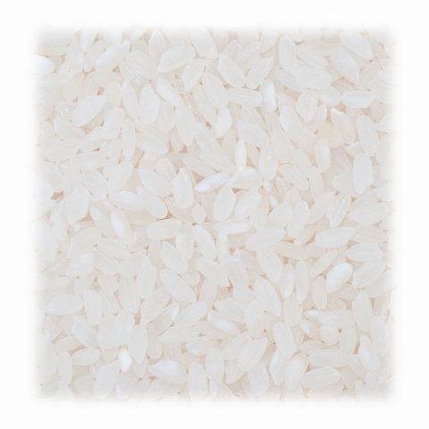 Organic Grains / Ecoder Organic Commodities